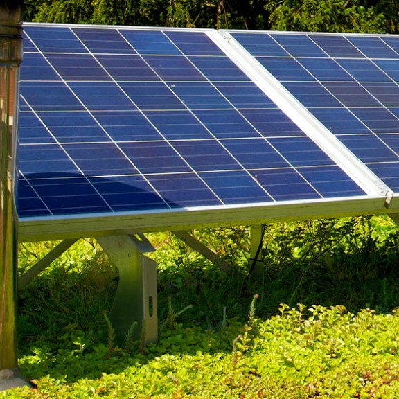 Sustainability
