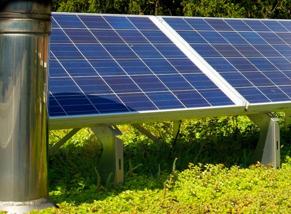 Sustainability