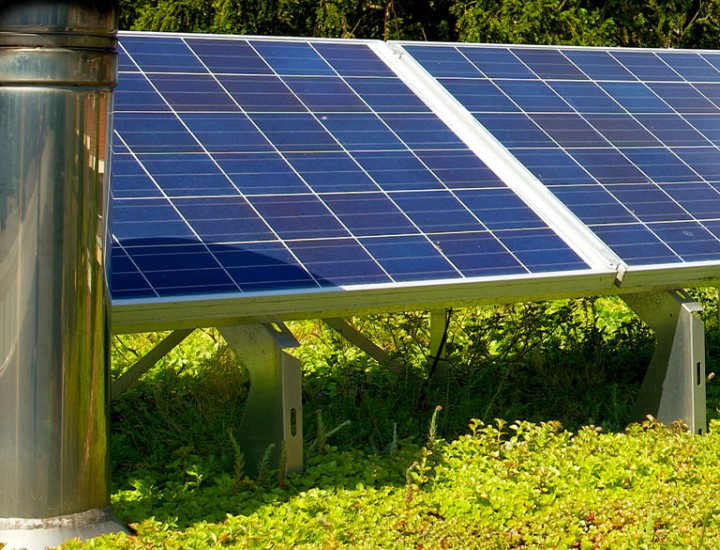 Sustainability