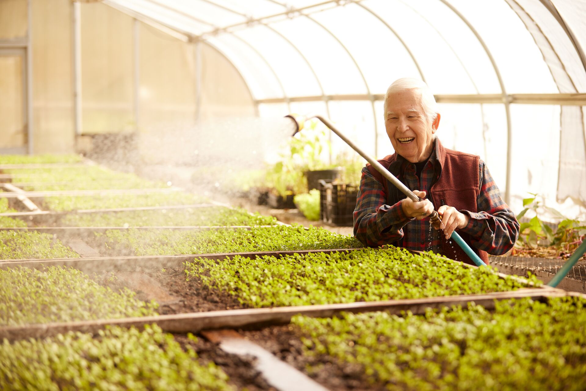 Senior man watering greenhouse plants. 2Life communities are eco-friendly