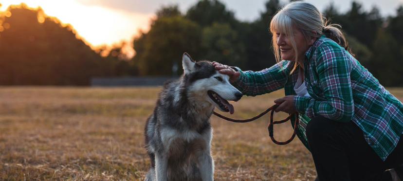 woman petting dog smiling
